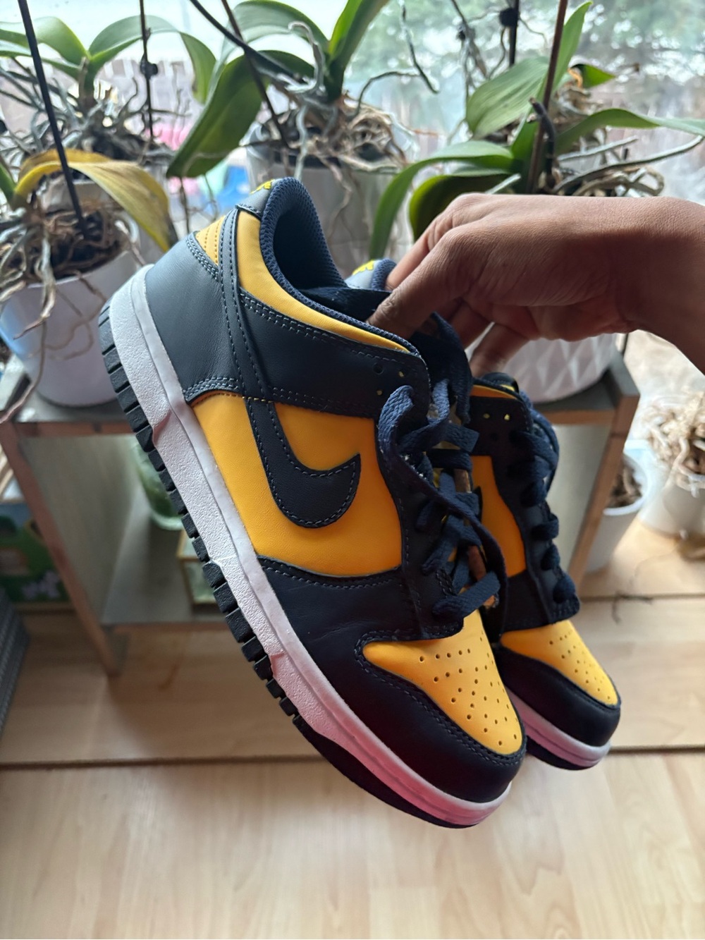 Michigan Nike dunks
